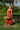Petite Studio's Clarabel Cotton Midi Dress in Red