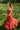 Petite Studio's Clarabel Cotton Midi Dress in Red