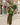 Petite Studio's Brayden Alpaca Cardigan in Olive Green