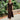 Petite Studio's Ezra Knit Dress in Chocolate 
