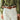 Petite Studio's Filbert Stitced Leather Belt