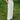 Petite Studio's Dasha Eyelet Linen Pants in White